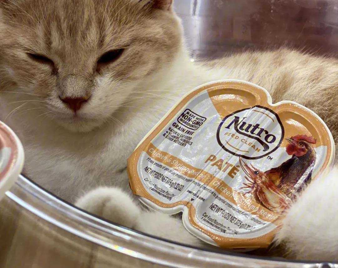 寵物糧包裝機(jī):揭秘貓罐頭高效包裝流程