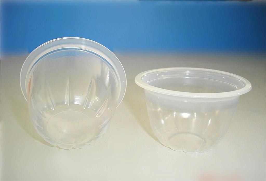 1712803283771065.jpg 0002.jpg