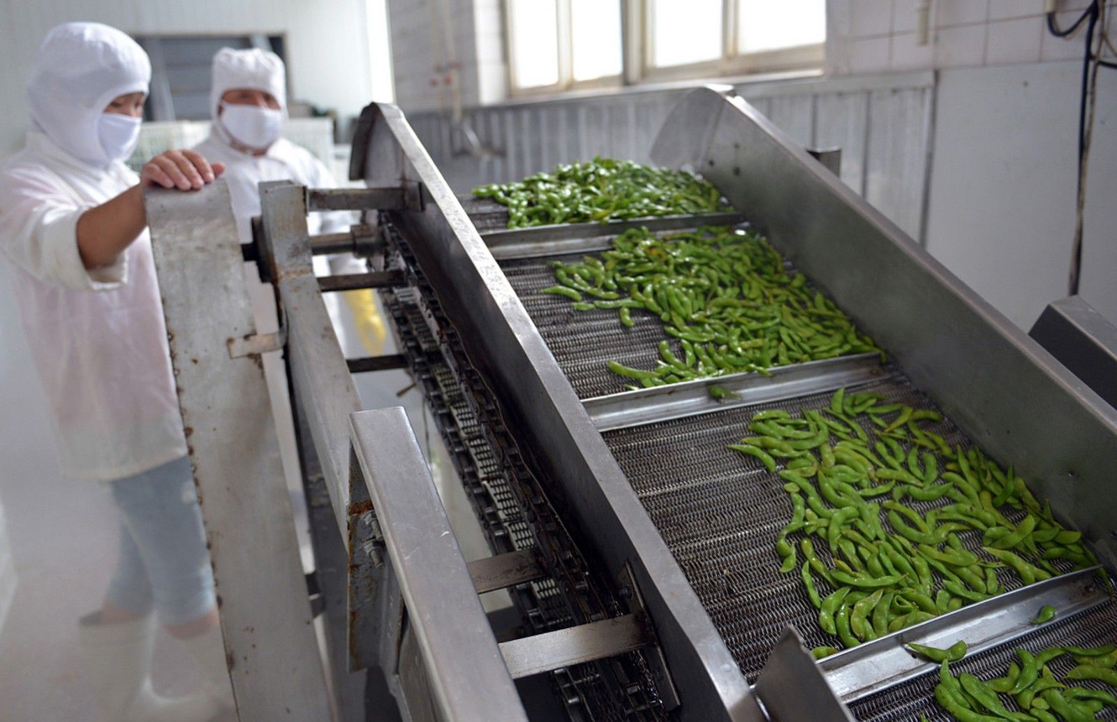 1731307121861432.jpg 凈菜02.jpg