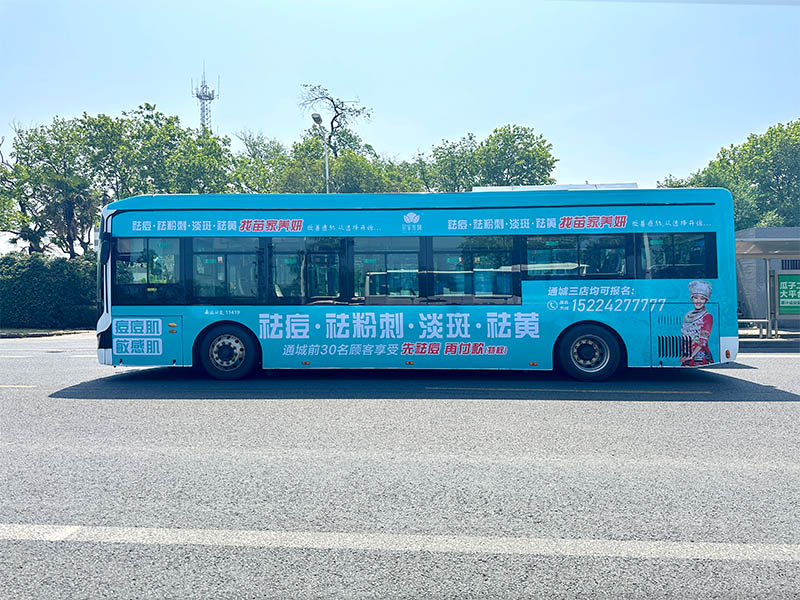 案例展示-苗老祖