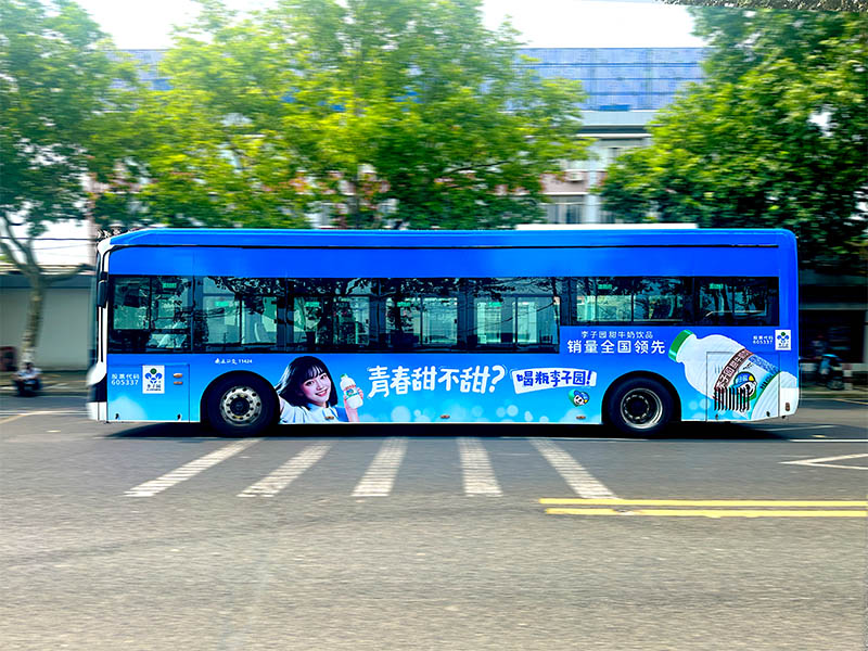 案例展示-李子園